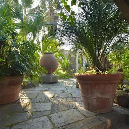 Regine Con Terrazza A Forio Forio di Ischia