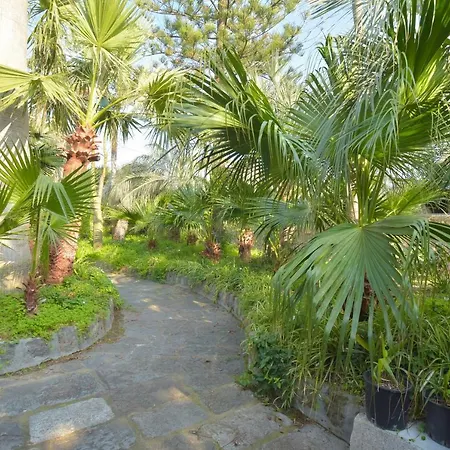 Regine Con Terrazza A Forio Vendégház 3*