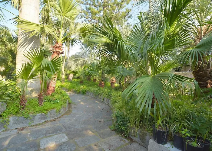 Regine Con Terrazza A Forio Vendégház 3*